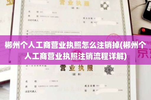 郴州个人工商营业执照怎么注销掉(郴州个人工商营业执照注销流程详解)