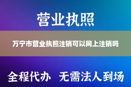 万宁市营业执照注销可以网上注销吗