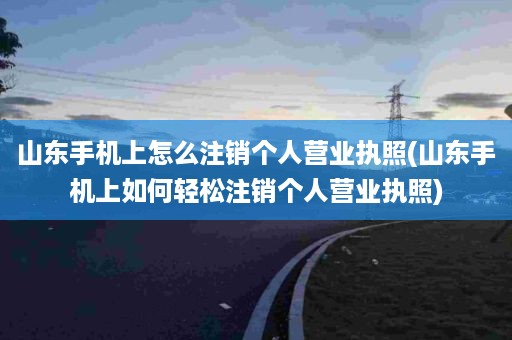 山东手机上怎么注销个人营业执照(山东手机上如何轻松注销个人营业执照)