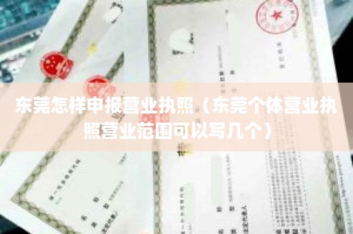 东莞怎样申报营业执照（东莞个体营业执照营业范围可以写几个）