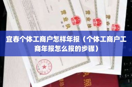 宜春个体工商户怎样年报（个体工商户工商年报怎么报的步骤）