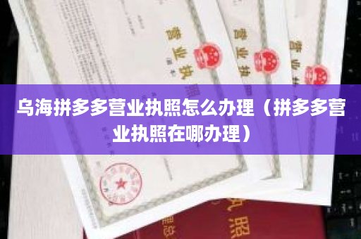 乌海拼多多营业执照怎么办理（拼多多营业执照在哪办理）