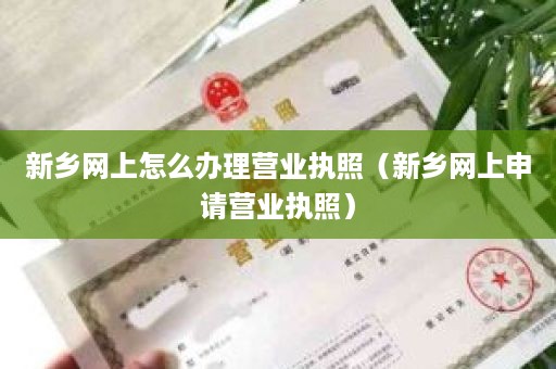 新乡网上怎么办理营业执照（新乡网上申请营业执照）