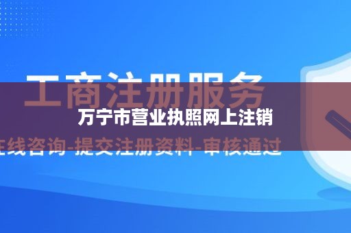 万宁市营业执照网上注销