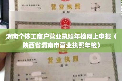 渭南个体工商户营业执照年检网上申报（陕西省渭南市营业执照年检）