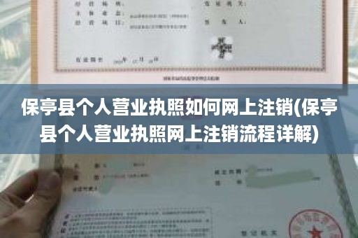 保亭县个人营业执照如何网上注销(保亭县个人营业执照网上注销流程详解)