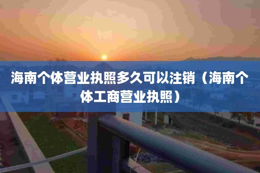 海南个体营业执照多久可以注销（海南个体工商营业执照）