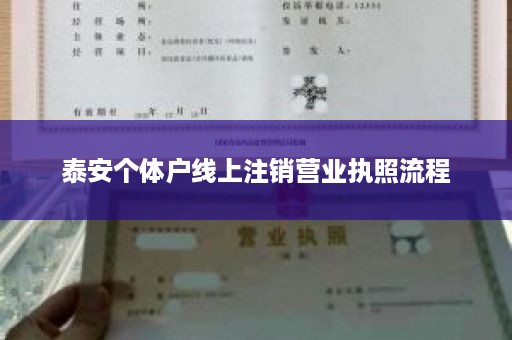 泰安个体户线上注销营业执照流程