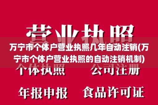 万宁市个体户营业执照几年自动注销(万宁市个体户营业执照的自动注销机制)