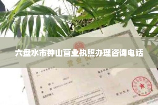 六盘水市钟山营业执照办理咨询电话