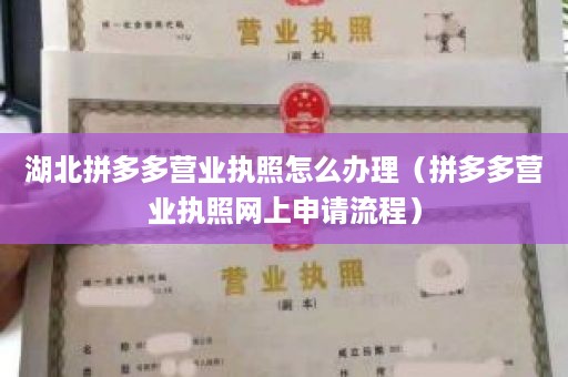 湖北拼多多营业执照怎么办理（拼多多营业执照网上申请流程）