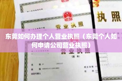 东莞如何办理个人营业执照（东莞个人如何申请公司营业执照）