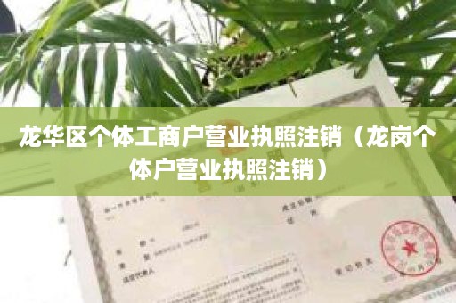 龙华区个体工商户营业执照注销（龙岗个体户营业执照注销）