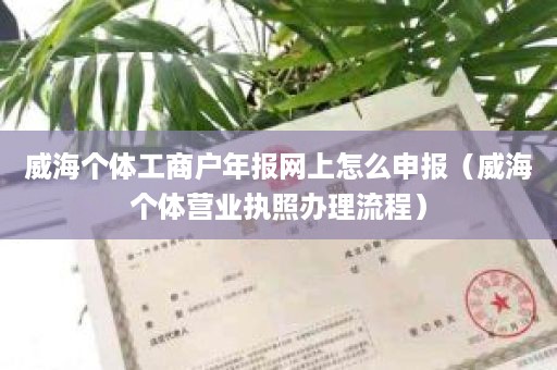 威海个体工商户年报网上怎么申报（威海个体营业执照办理流程）