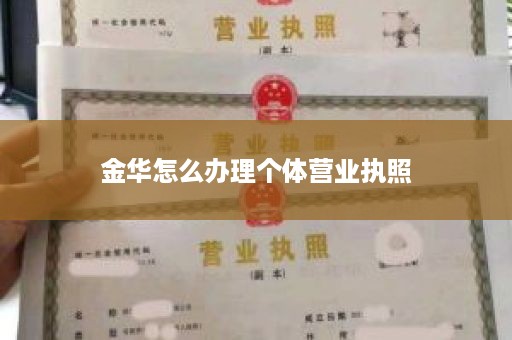 金华怎么办理个体营业执照