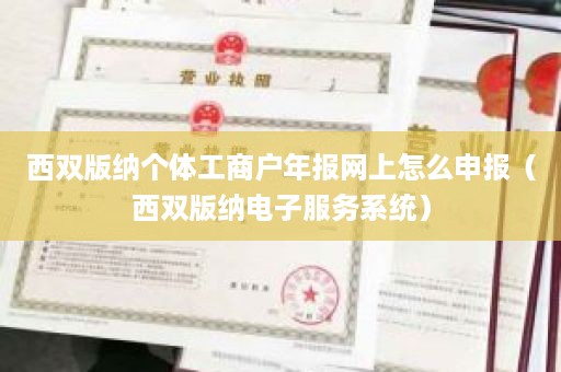 西双版纳个体工商户年报网上怎么申报（西双版纳电子服务系统）