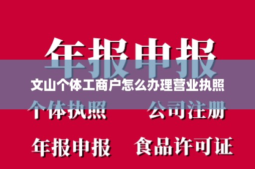 文山个体工商户怎么办理营业执照