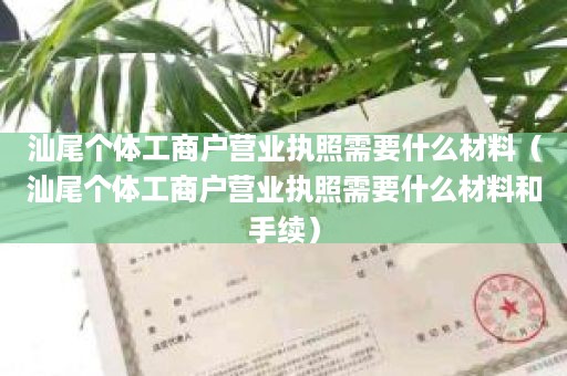 汕尾个体工商户营业执照需要什么材料（汕尾个体工商户营业执照需要什么材料和手续）