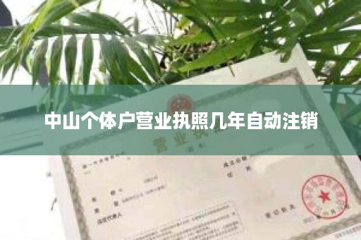 中山个体户营业执照几年自动注销