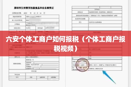 六安个体工商户如何报税（个体工商户报税视频）