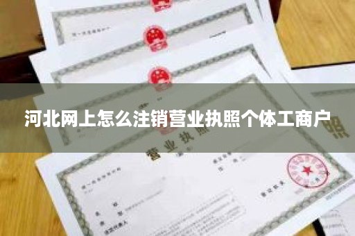 河北网上怎么注销营业执照个体工商户