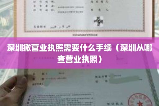 深圳撤营业执照需要什么手续（深圳从哪查营业执照）