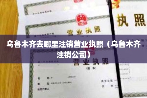 乌鲁木齐去哪里注销营业执照（乌鲁木齐注销公司）