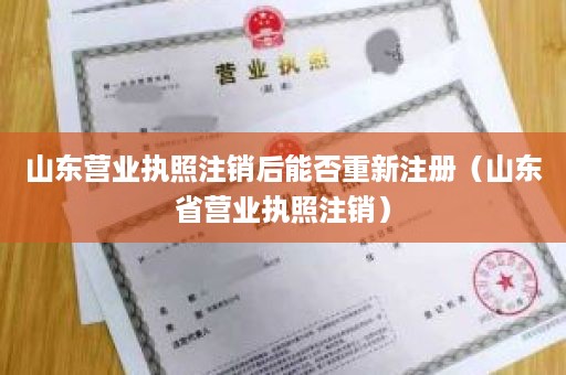 山东营业执照注销后能否重新注册（山东省营业执照注销）