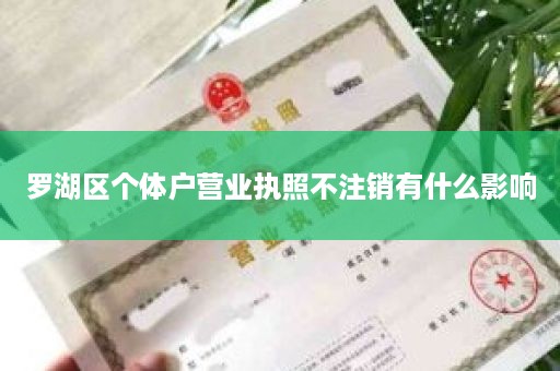 罗湖区个体户营业执照不注销有什么影响