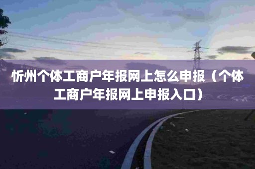 忻州个体工商户年报网上怎么申报（个体工商户年报网上申报入口）