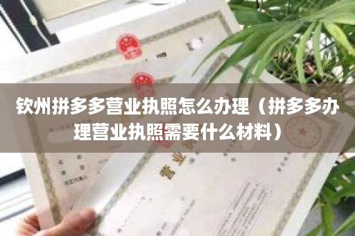 钦州拼多多营业执照怎么办理（拼多多办理营业执照需要什么材料）