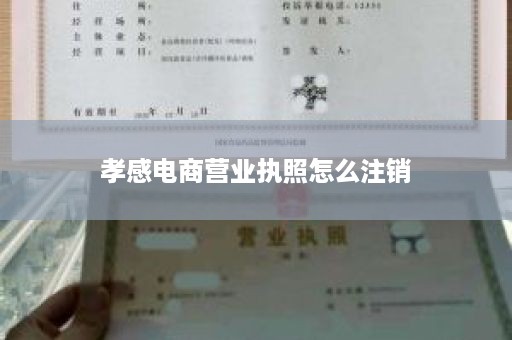 孝感电商营业执照怎么注销