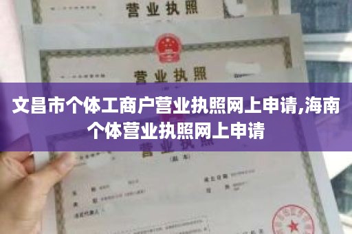 文昌市个体工商户营业执照网上申请,海南个体营业执照网上申请