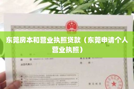 东莞房本和营业执照贷款（东莞申请个人营业执照）