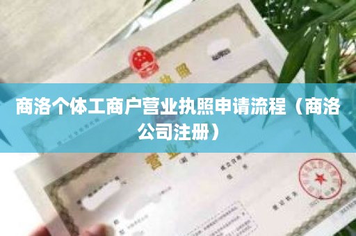 商洛个体工商户营业执照申请流程（商洛公司注册）