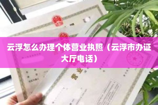 云浮怎么办理个体营业执照（云浮市办证大厅电话）