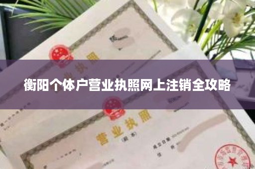 衡阳个体户营业执照网上注销全攻略