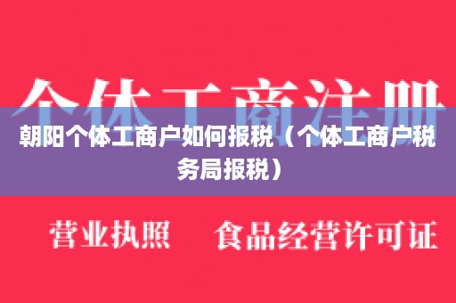 朝阳个体工商户如何报税（个体工商户税务局报税）