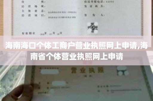 海南海口个体工商户营业执照网上申请,海南省个体营业执照网上申请