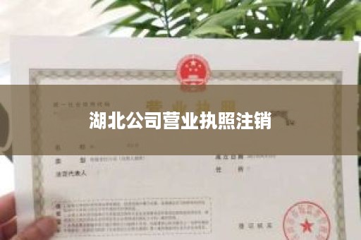 湖北公司营业执照注销