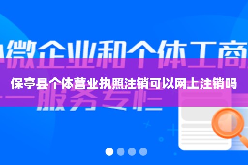 保亭县个体营业执照注销可以网上注销吗