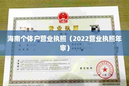 海南个体户营业执照（2022营业执照年审）