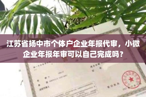 江苏省扬中市个体户企业年报代审，小微企业年报年审可以自己完成吗？