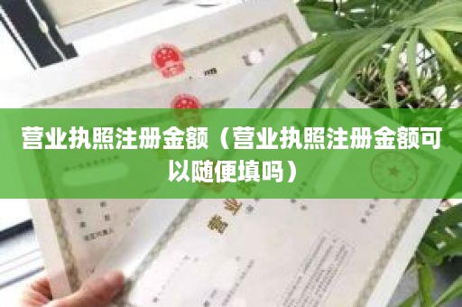 营业执照注册金额（营业执照注册金额可以随便填吗）