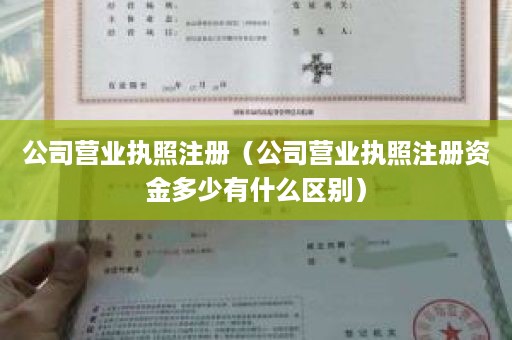 公司营业执照注册（公司营业执照注册资金多少有什么区别）