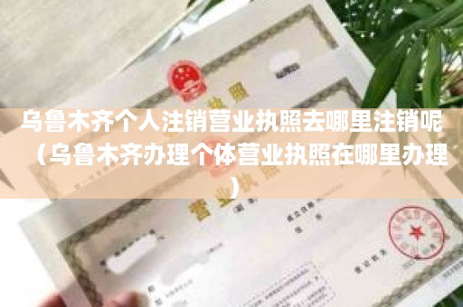 乌鲁木齐个人注销营业执照去哪里注销呢（乌鲁木齐办理个体营业执照在哪里办理）