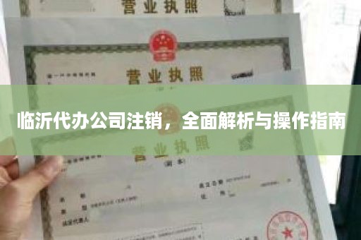 临沂代办公司注销，全面解析与操作指南