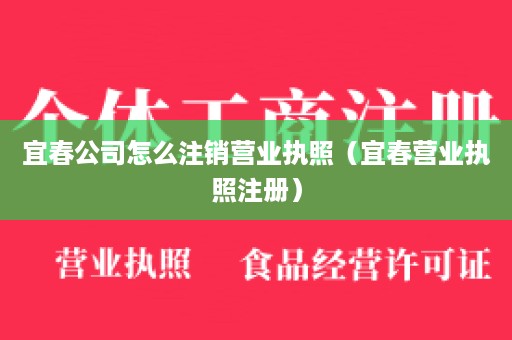 宜春公司怎么注销营业执照（宜春营业执照注册）