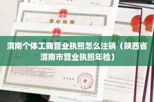 渭南个体工商营业执照怎么注销（陕西省渭南市营业执照年检）