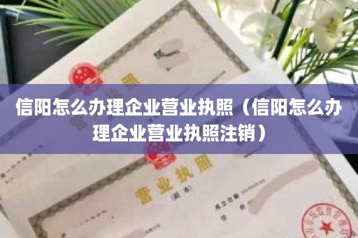 信阳怎么办理企业营业执照（信阳怎么办理企业营业执照注销）